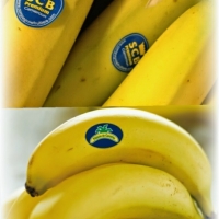  - etiquetas para jamón y embutidos, etiquetas tlaquepaque